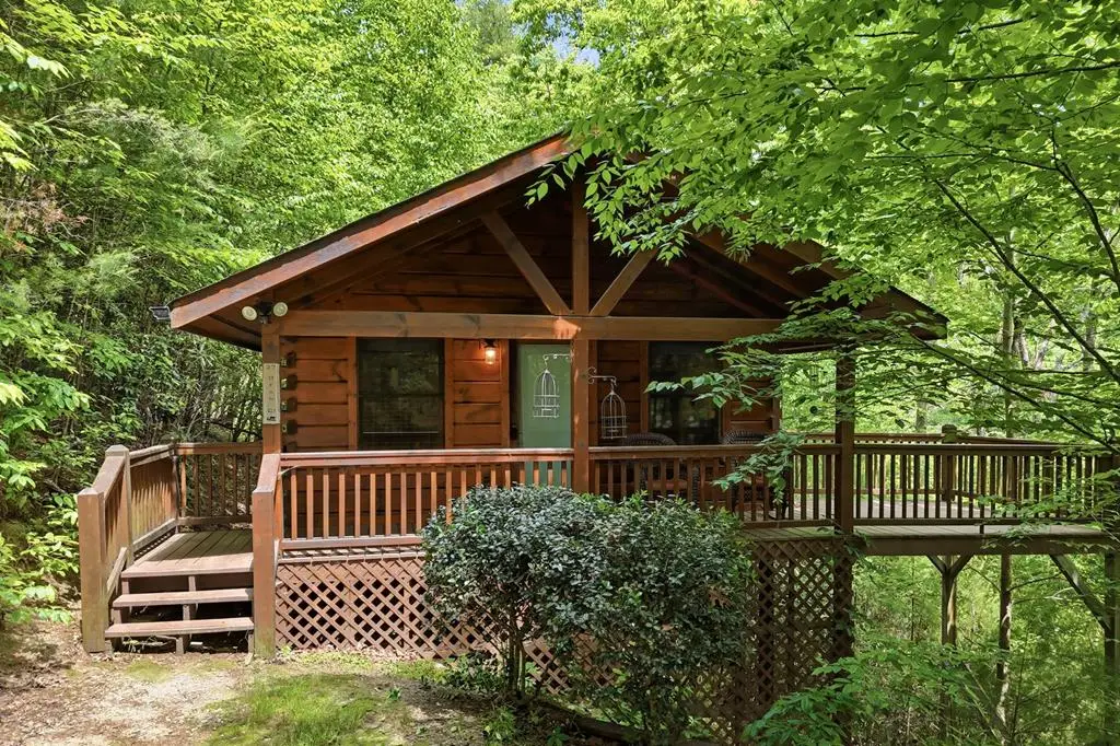 37 Dean Court, Blue Ridge, GA 30513 - #1