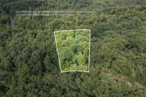 Lot 150 Tranquility @ Carters Lake, Ellijay, GA 30540