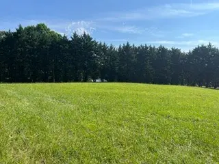 n/a Kiutuestia Creek Road, Blairsville, GA 30512 - #3