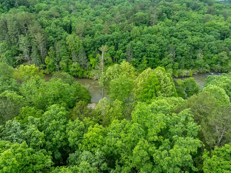 2601LT Parker Way, Ellijay, GA 30540 - #3