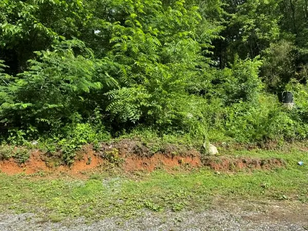 92 Benji Drive, Ellijay, GA 30540