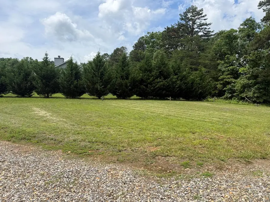 94 Hanley Drive, Blairsville, GA 30512 - #3