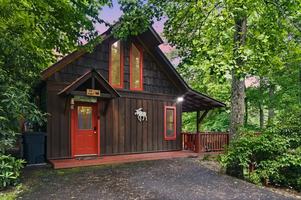 20 Mint Lane, Shoal Creek, NC 20906 - #1