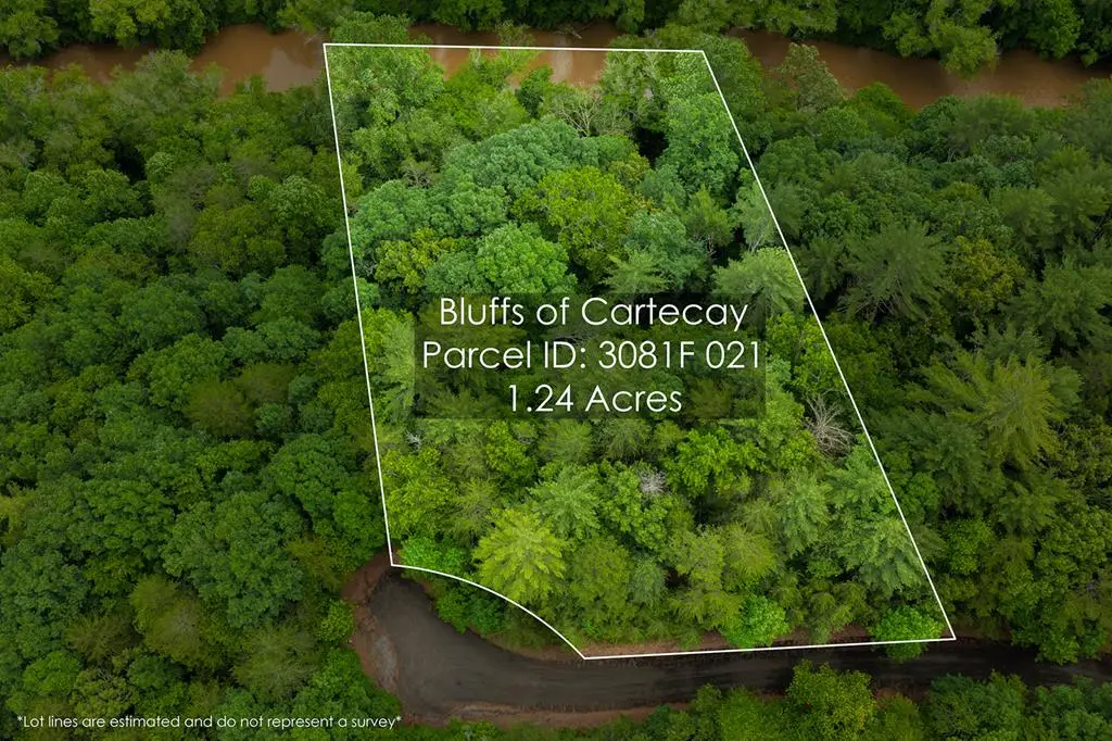 Lot 21 Aspen Avenue, Ellijay, GA 30540 - #1