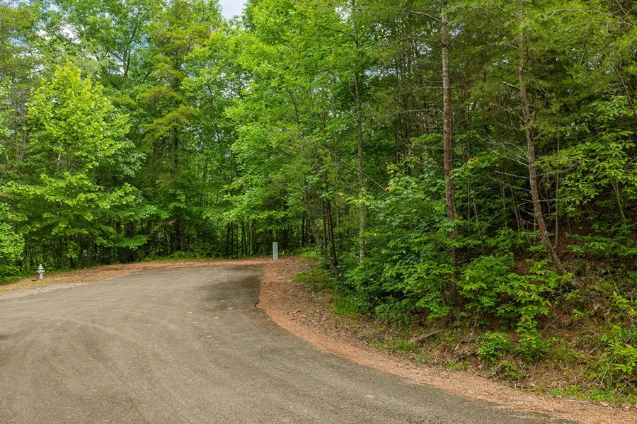 Lot 21 Aspen Avenue, Ellijay, GA 30540 - #2