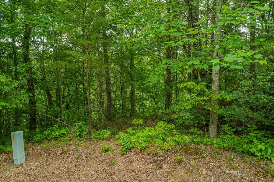 Lot 21 Aspen Avenue, Ellijay, GA 30540 - #3