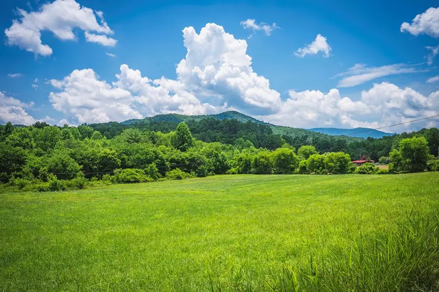 14.36 AC Night Lane, Epworth, GA 30541 - #3