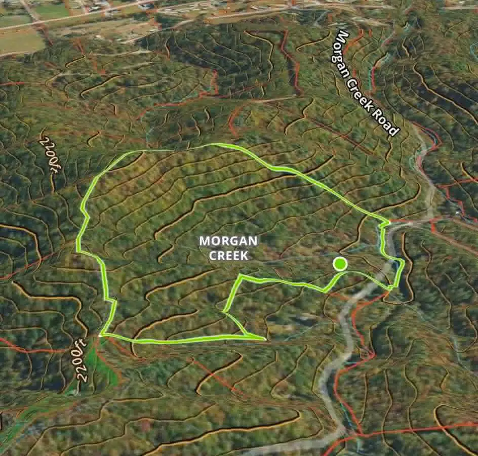 1070 Morgan Creek Road, Marble, NC 28905 - #1