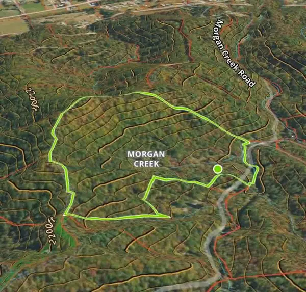 1070 Morgan Creek Road, Marble, NC 28905