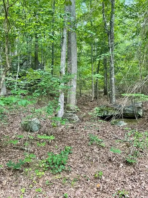 11 Lonesome Pine Road, Murphy, NC 28906