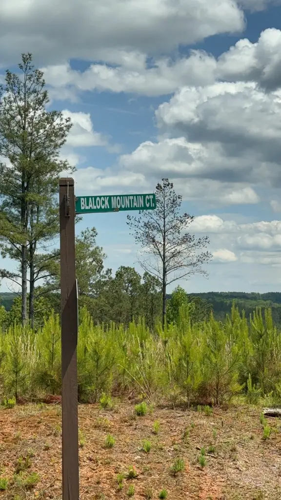 197 Blalock Mountain Court, Talking Rock, GA 30175 - #3