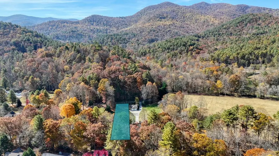 Lot 5 Big Pine Drive, Hiawassee, GA 30546 - #3