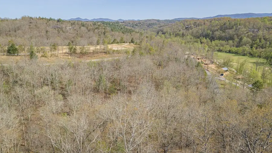 152 Hickory Way, Mineral Bluff, GA 30559 - #2