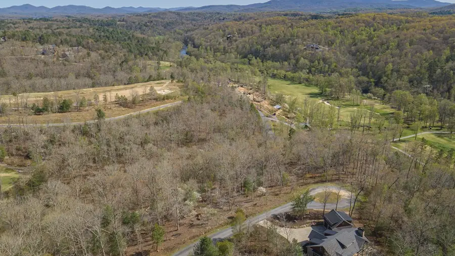 152 Hickory Way, Mineral Bluff, GA 30559 - #3