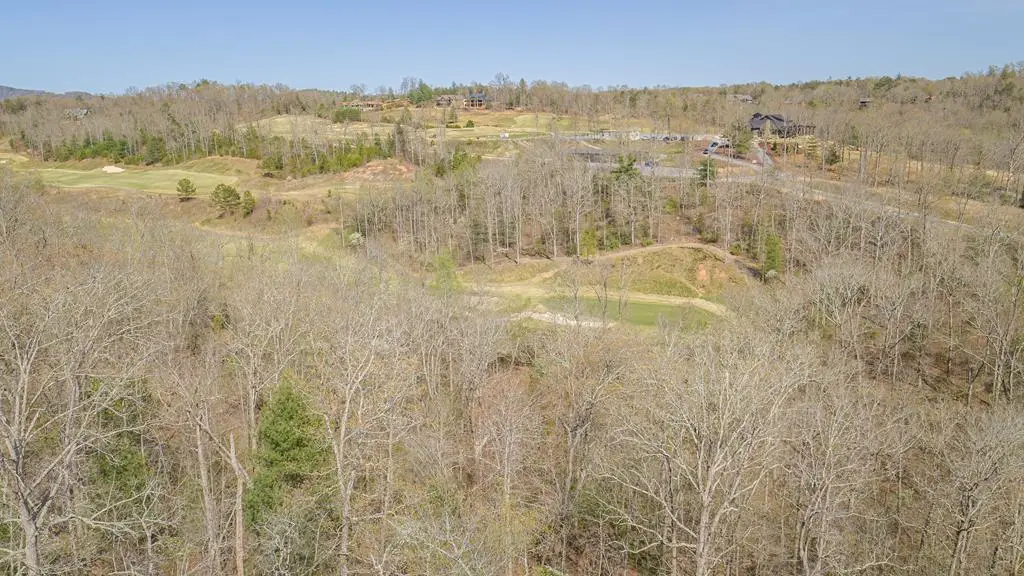 153 Hickory Way, Mineral Bluff, GA 30559 - #1