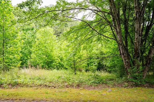 Lot 29 Hidden Forest Lane, Hayesville, NC 28904