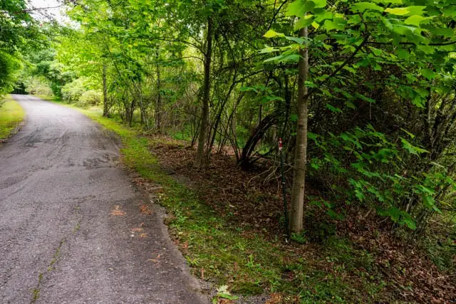 Lot 29 Hidden Forest Lane, Hayesville, NC 28904 - #2