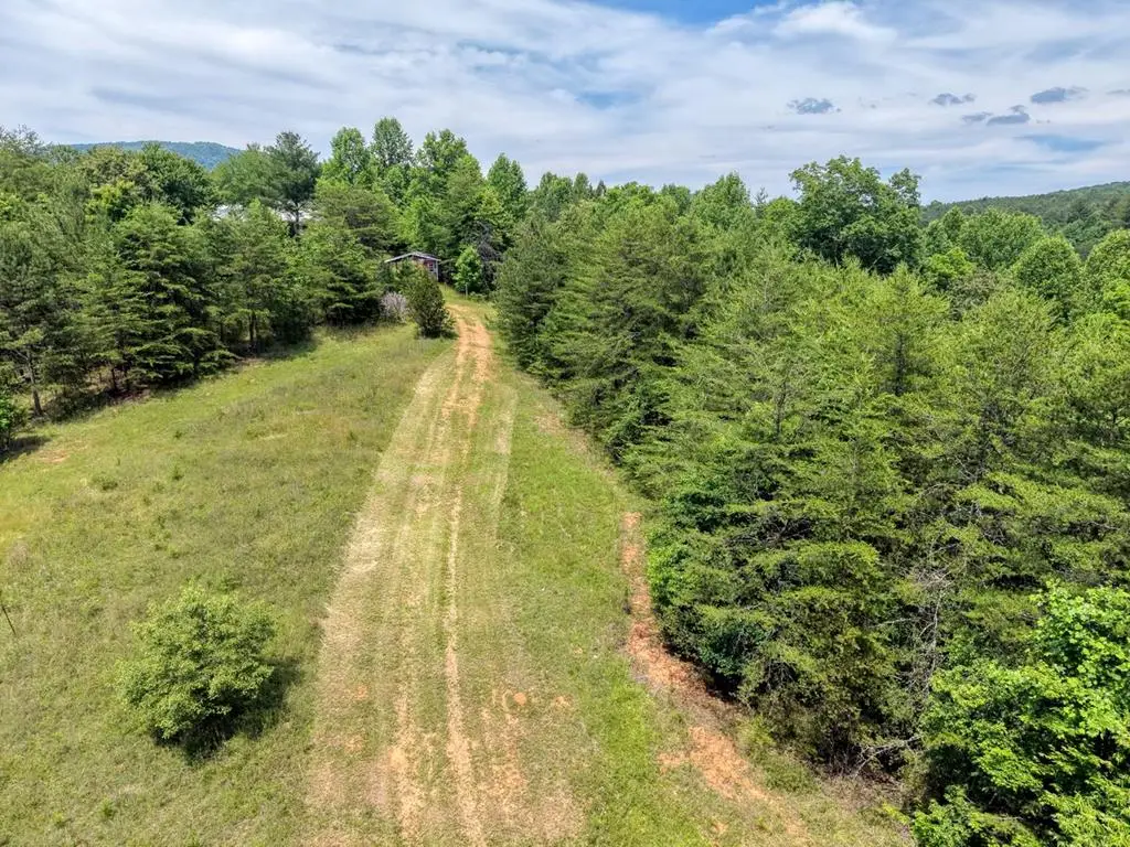 Lot 13 Porter Place, Blairsville, GA 30512 - #1