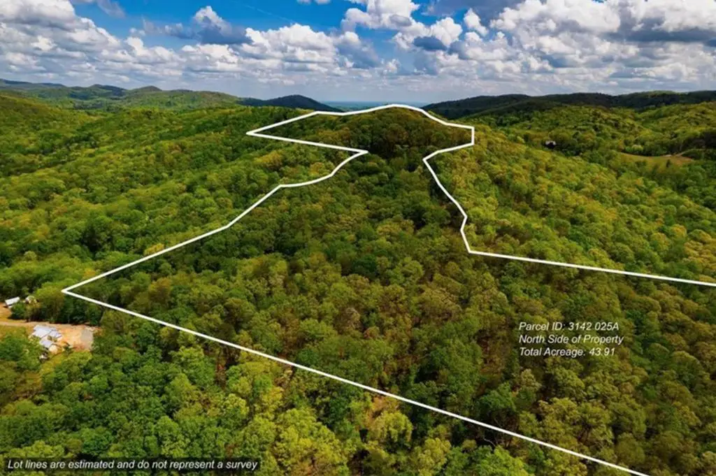 43.91 Old Burnt Mountain Road, Ellijay, GA 30540 - #1