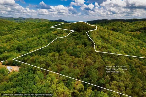43.91 Old Burnt Mountain Road, Ellijay, GA 30540