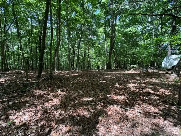 154 Chill Lane, Blairsville, GA 30512