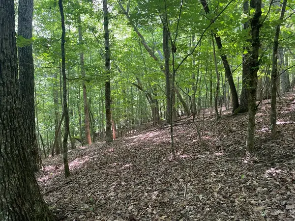 Lot 11 Brumby Run, Blairsville, GA 30512