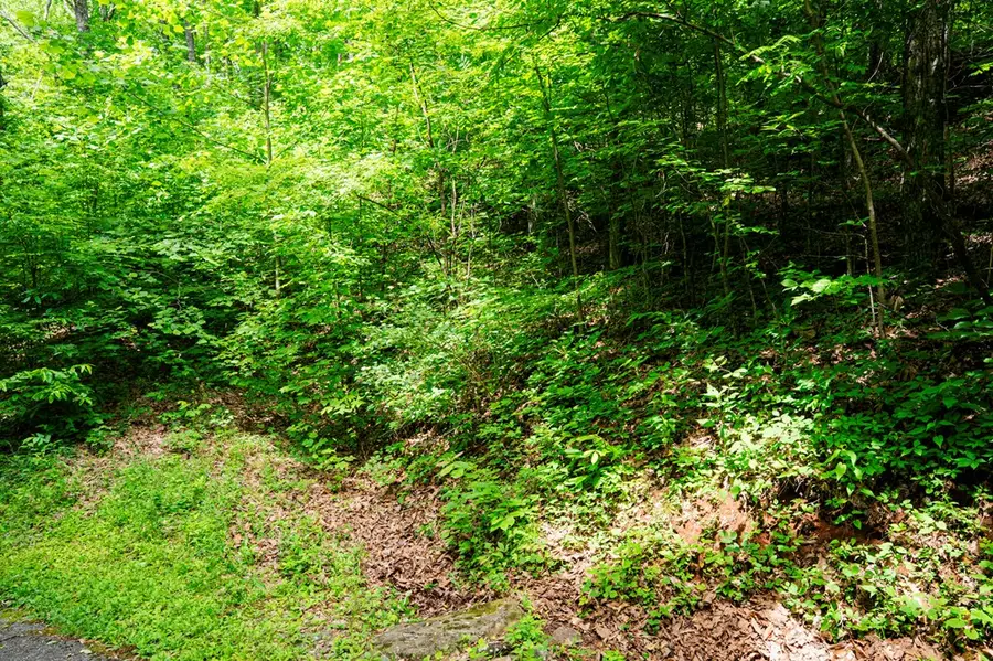 8 Skyview Drive, Hayesville, NC 28904 - #2