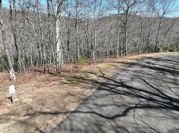 206 Northview Parkway, Ellijay, GA 30536