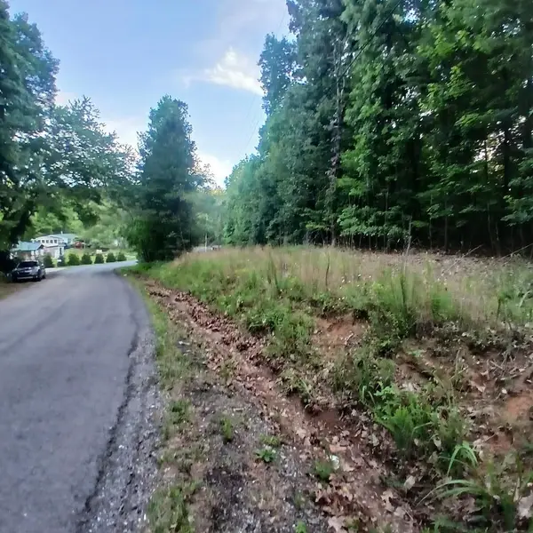 Tr'3 Raven Cliff Road, Talking Rock, GA 30175
