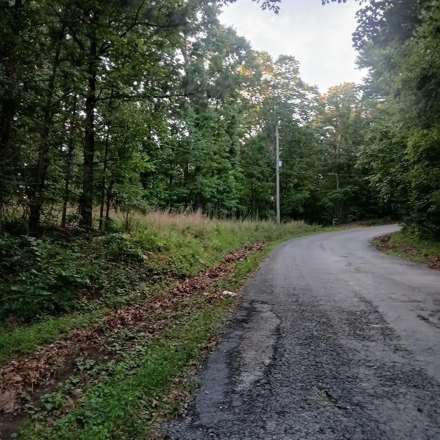 Tr'3 Raven Cliff Road, Talking Rock, GA 30175 - #2