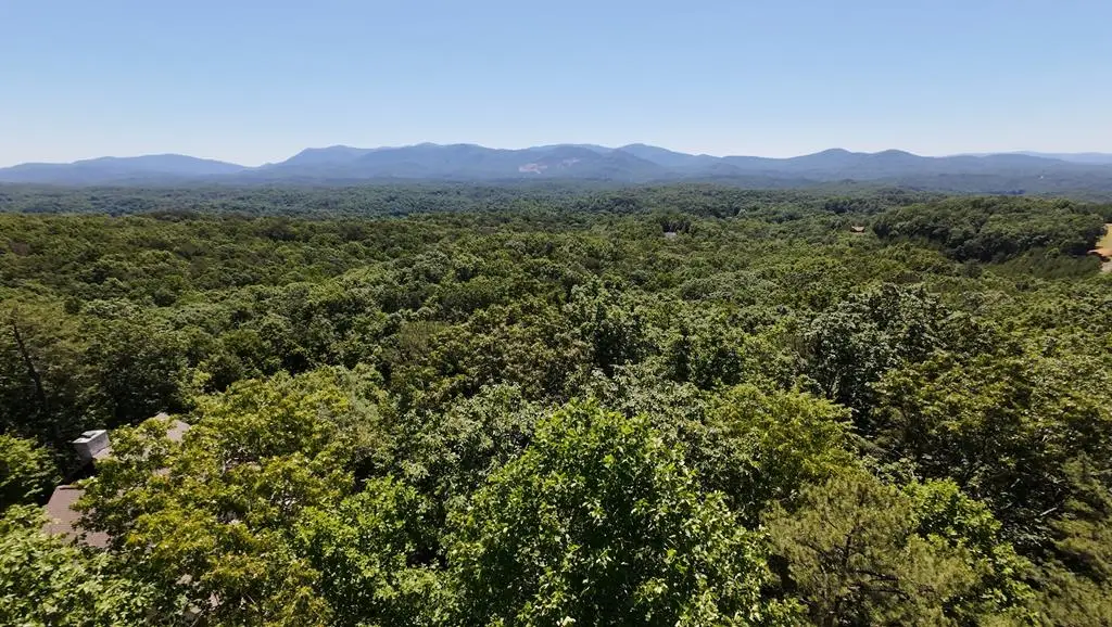 0 Flagpole Rd, Ellijay, GA 30540 - #1