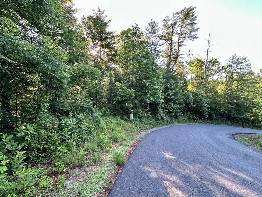 Lot 103 Rhondas Way, Ellijay, GA 30540 - #2