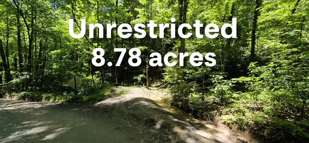 Lot 28 Laurel Ridge, Rich Mountain, GA 30522 - #1