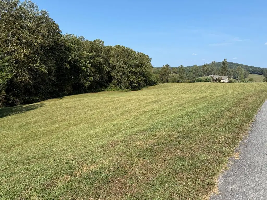 113 Owen Glen Drive, Blairsville, GA 30512 - #1