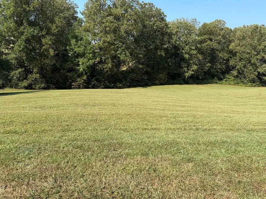 113 Owen Glen Drive, Blairsville, GA 30512 - #2