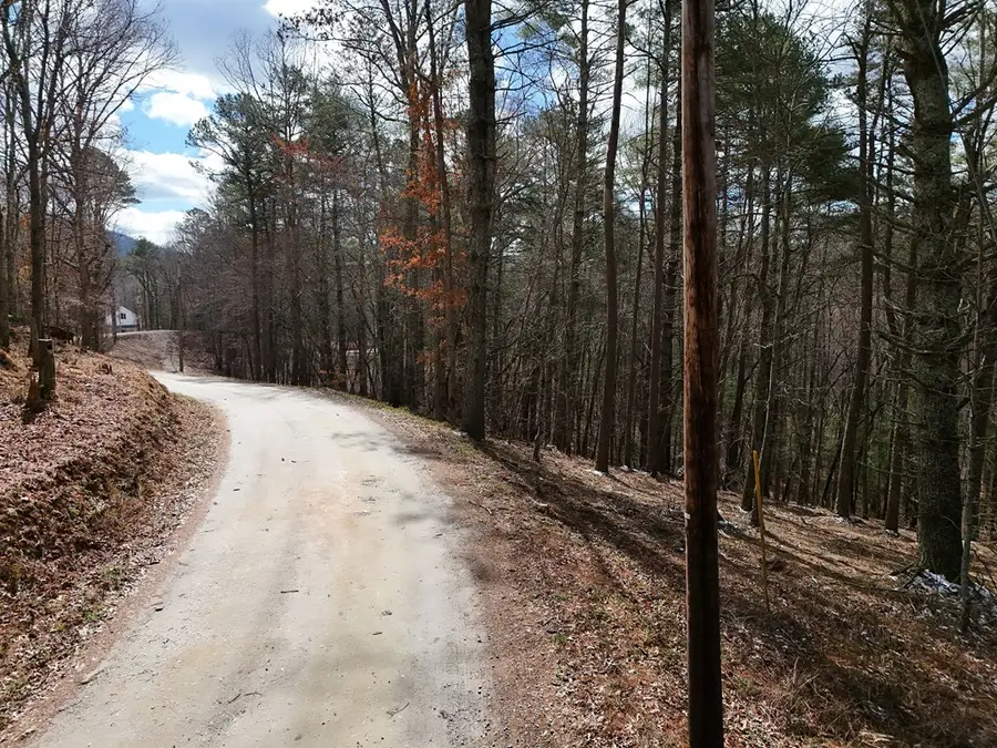 LT 45A Synacia Drive, Mineral Bluff, GA 30559 - #3