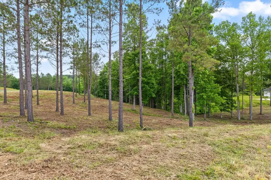 Lot 324 Greenview Landing, Talking Rock, GA 30175 - #3