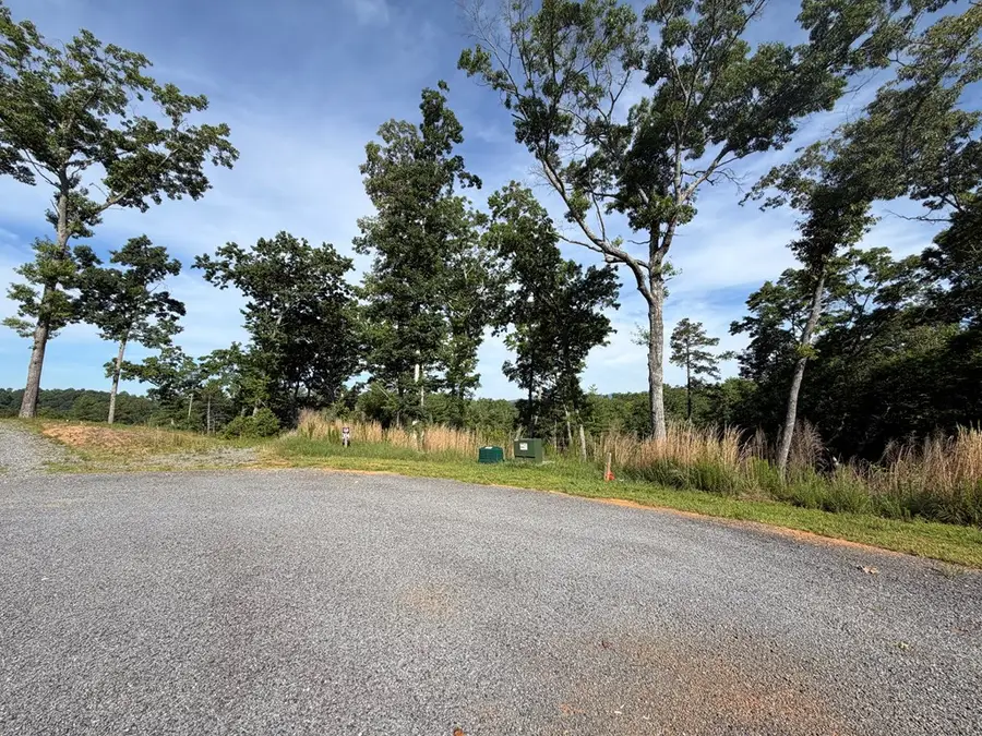 LT 304 Greenwood Court, Ellijay, GA 30540 - #2