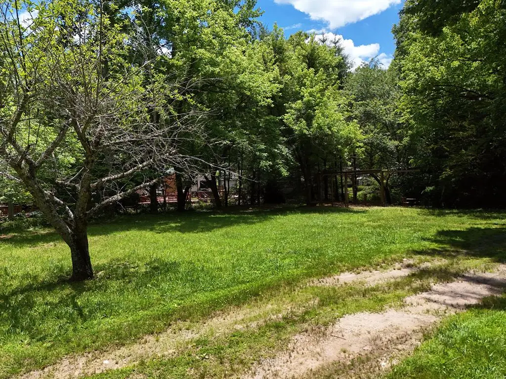 119 Heather Drive, Blairsville, GA 30512 - #1