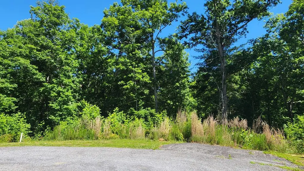 lot 112 Jakes Landing Overlook, Ellijay, GA 30540 - #1