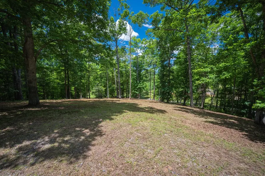 1.57AC Faith Hill Road, McCaysville, GA 30555 - #3