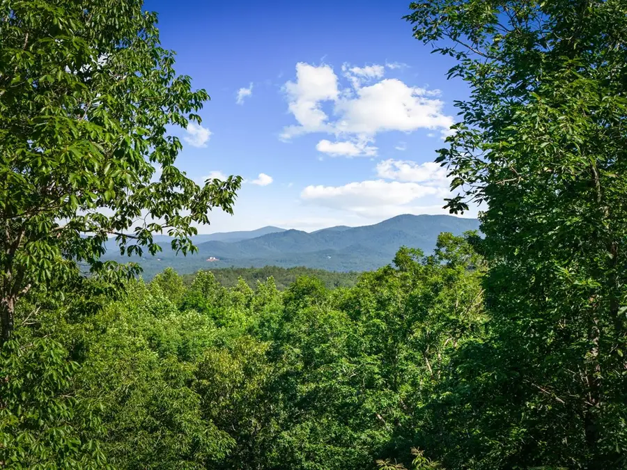 169 Walnut Mountain Road, Ellijay, GA 30540 - #2