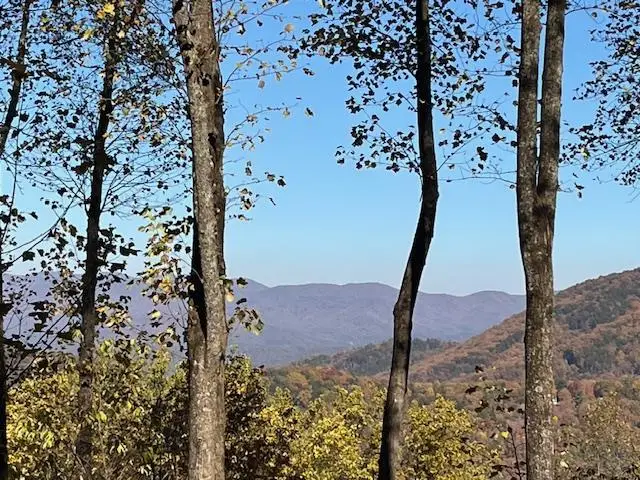 1189 Walnut Ridge, Ellijay, GA 30536 - #2