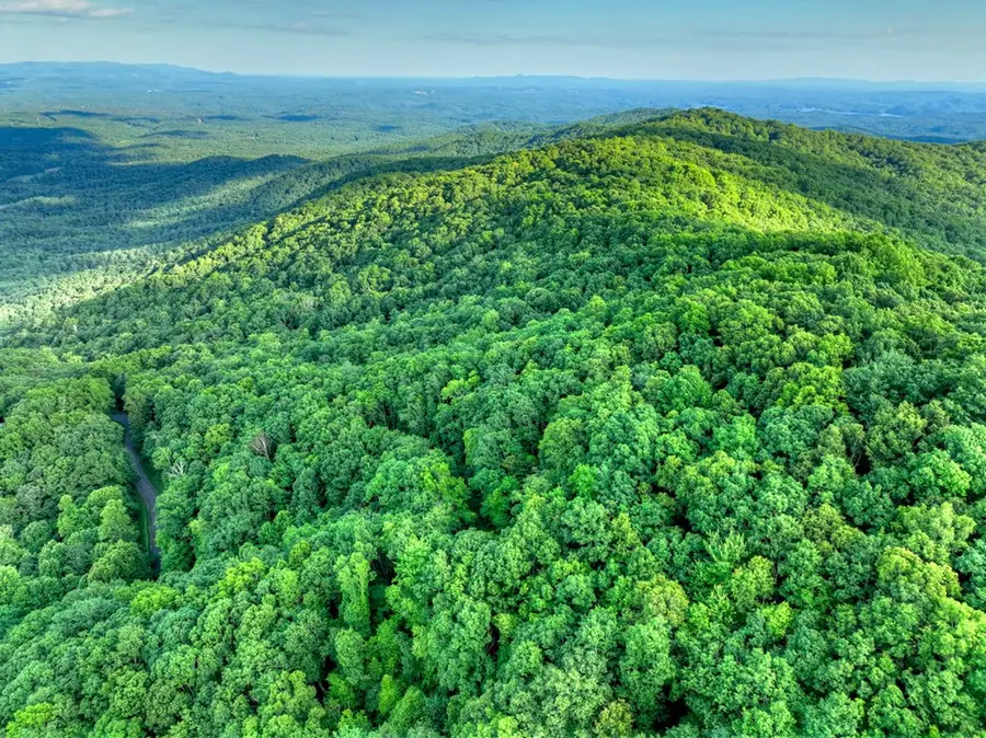 65 Utana Bluff Trails, Ellijay, GA 30540 - #2