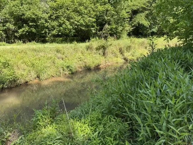 0 Lot 6 Clear Creek Preserve Way, Ellijay, GA 30536 - #2