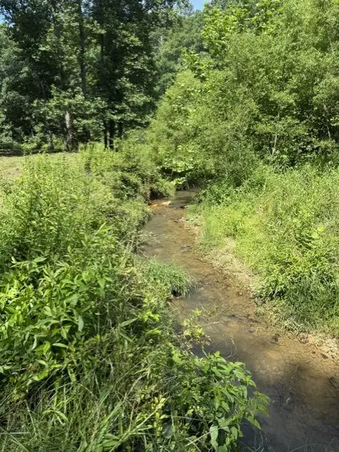 0 Lot 6 Clear Creek Preserve Way, Ellijay, GA 30536 - #3