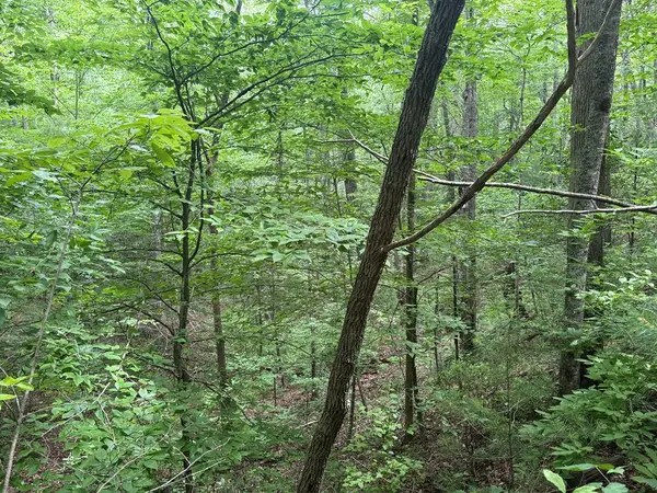 1 ac Spiva Cove Circle, Blairsville, GA 30512