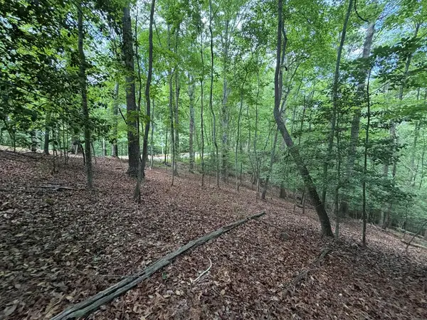Lot 1049 Gateway Drive, Ellijay, GA 30540