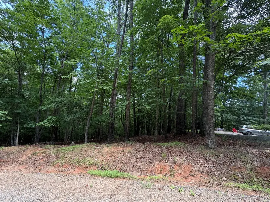 Lot 1049 Gateway Drive, Ellijay, GA 30540 - #3