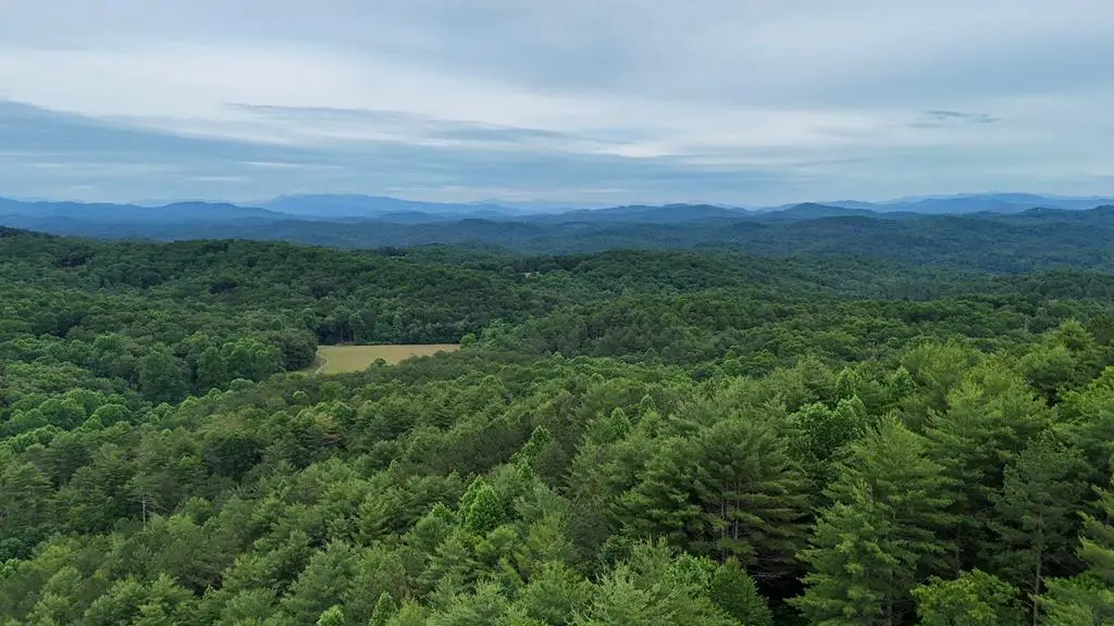 00 Choctaw Ridge Trail, Murphy, NC 28906 - #1